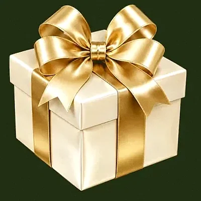 Ribboned gift box — Savaspin