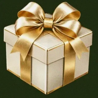 Gift box — Savaspin