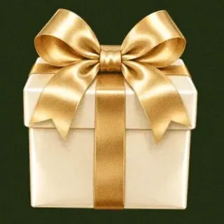 Ribbon gift box — Savaspin