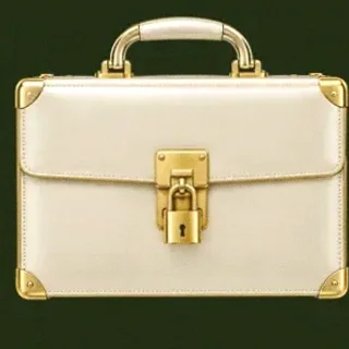 Locked leather briefcase — Savaspin