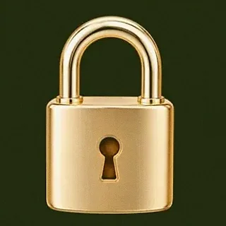 Metal padlock — Savaspin