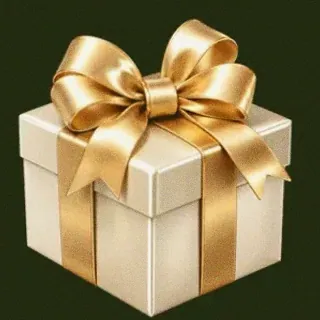 Luxury gift box — Savaspin