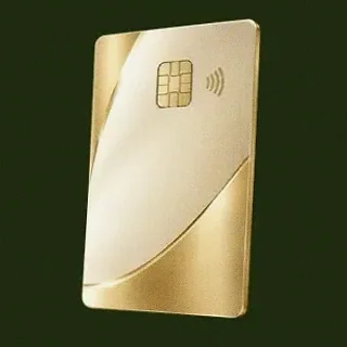 Contactless bank card — Savaspin