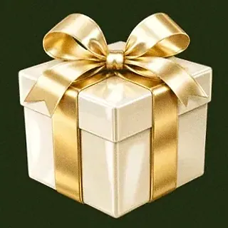 Wrapped gift box — Savaspin